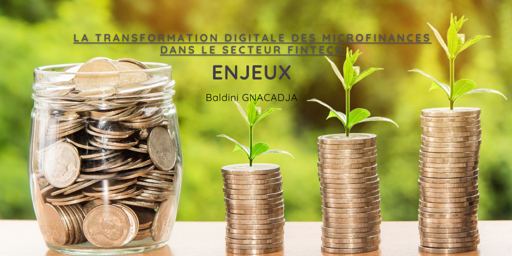 La Transformation Digitale des Microfinances dans le Secteur Fintech